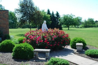 Garden with statue